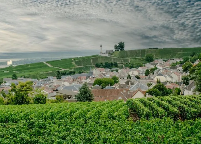 Maison De Champagne F.barbier ! Villa